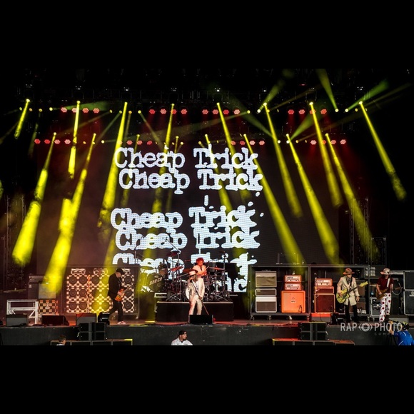 Meet your Posher, Waynell - Picture 4 of 8